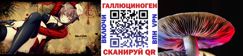 Купить  Лиски  Псилоцибиновые грибы прущие грибы 
